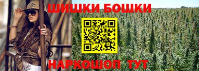 прущие грибы Пенза