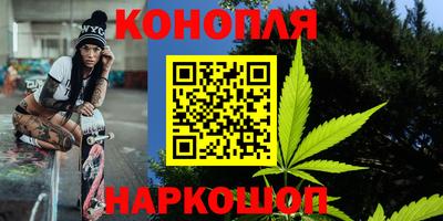 прущие грибы Пенза