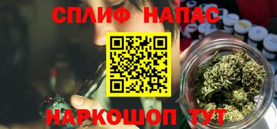 прущие грибы Пенза