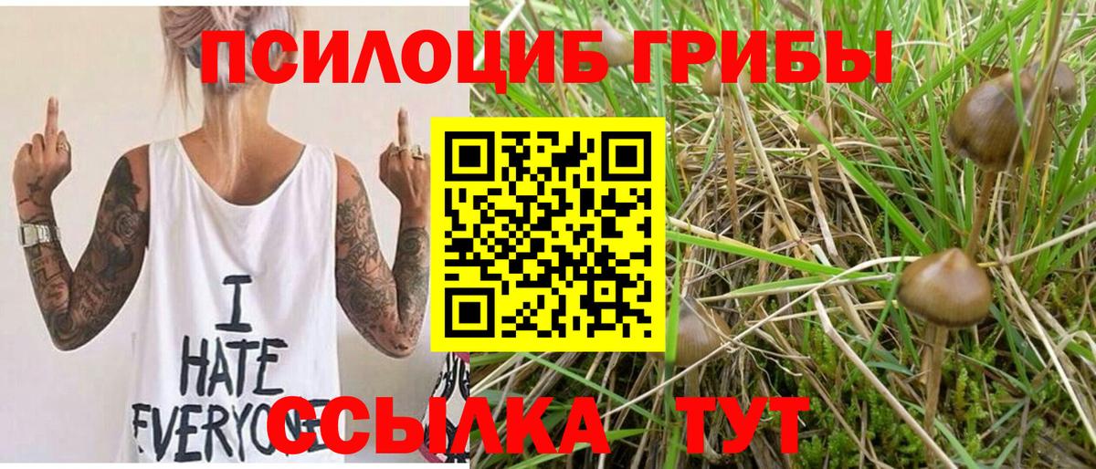Галлюциногенные грибы Psilocybine cubensis  Псилоцибиновые грибы MAGIC MUSHROOMS  Вход с VPN  где купить наркоту  Сланцы 